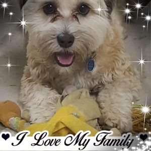 Meet your Posher, Judy